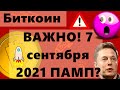 Биткоин ВАЖНО! 7 сентября 2021 ПАМП? Илон МАСК ОПЯТЬ строчит о БИТКОИНЕ. КРИПТО БРИФИНГ!!