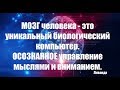 Мозг как уникальный компьютер | Способности мозга | Управление мыслями и вниманием