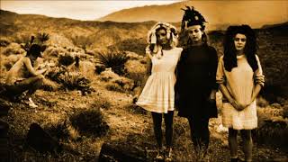 The Slits - Earthbeat / Wedding Song (Peel Session)