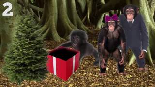 Top 6 Christmas Elements You Need To Know More About Profile