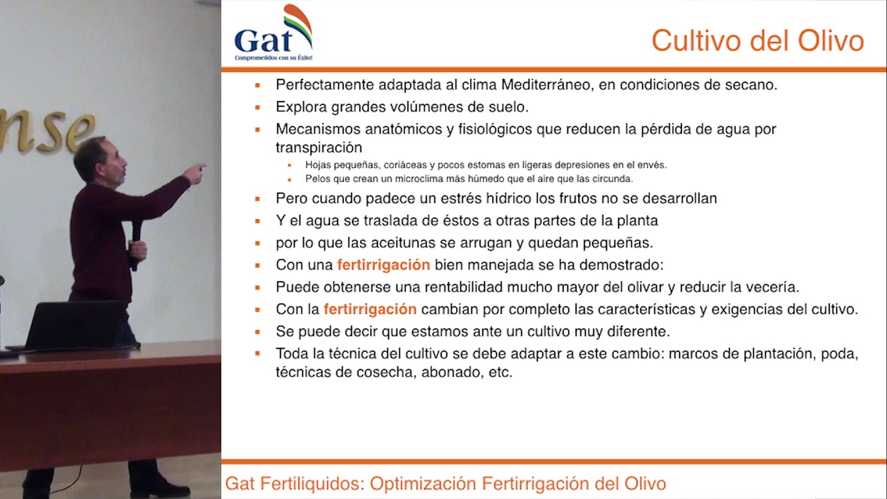 Optimización de la fertirrigación del olivar