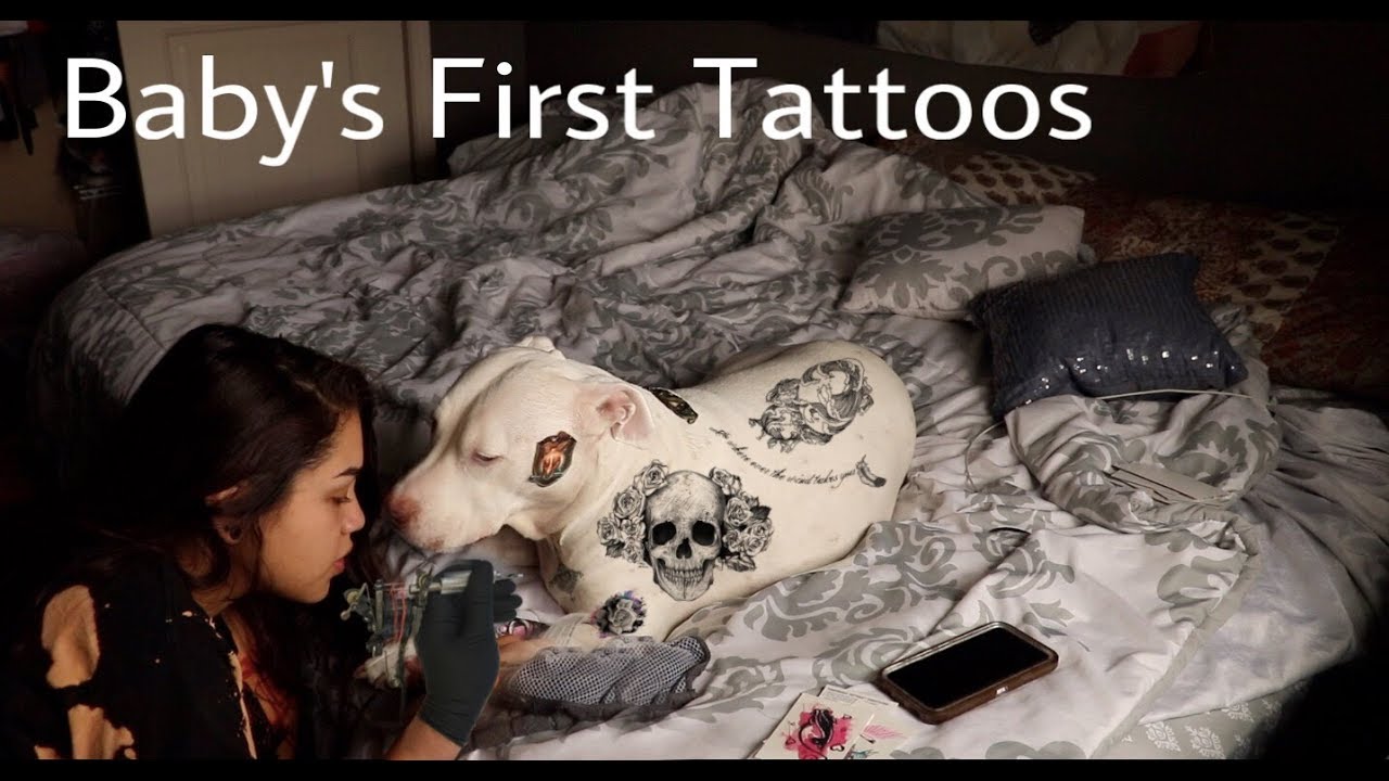 Tattooing My Dog YouTube