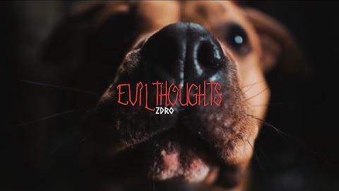508ZDRO - EVIL THOUGHTS (OFFICIAL VIDEO) shot by: LazyVisuals