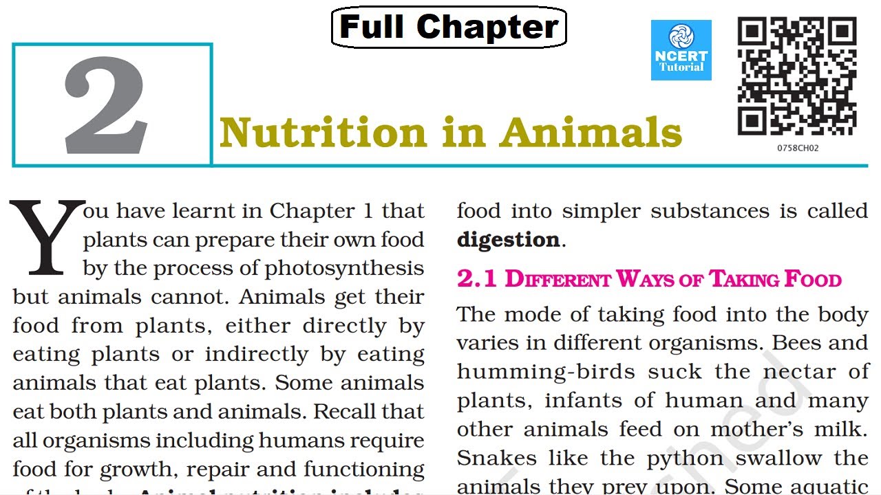Nutrition in Animals Class 7 Science Chapter 2 [Full Chapter] YouTube