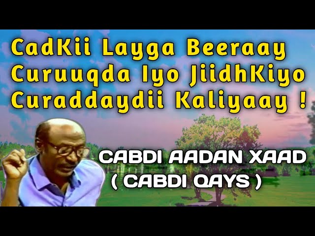 Xotin erini eshakda sikadi (tomosha) Qattiq qul pornosini onlayn tomosha qiling