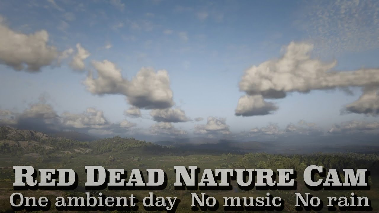 Eastern Heartlands Vista — Ambient RDR2, no music, no rain