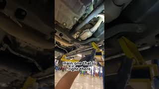 3rd Gen Tacoma Underbody! #tacoma #trdpro #3rdgen