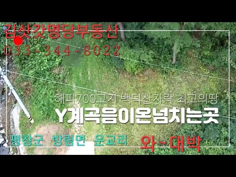 Y자계곡야산 해발700고지 포장도로접 건축가능한야산  굿강추 033-344-8022 매번21107