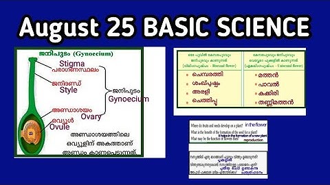 VICTERS STD 06 Basic Science Class 11/class 6 basic science worksheet/victers class 6 worksheet