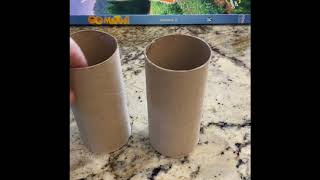 Math- Measurement Using Items In Your House