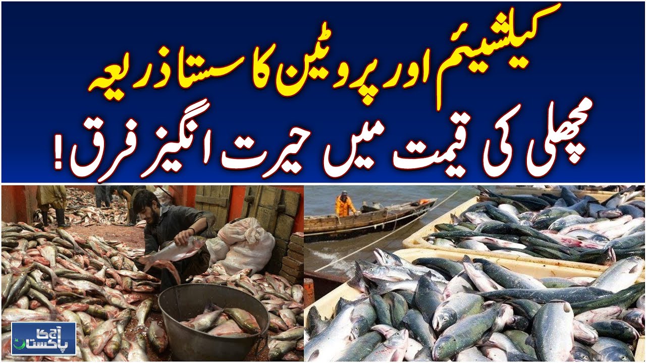 Fish Consumption Rise | Affordable Protein Pakistan | Farooqabad Winter Diet - Pakistan news