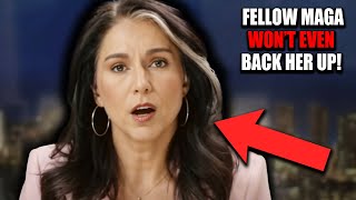 Tulsi Gabbard Gets BLASTED With FACTS By Democrats