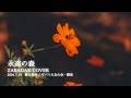 永遠の森 / ZABADAK (cover)