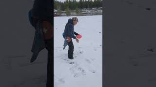 Fun with AI, Lynette's new snow disc finder pet. #discgolf #humor#frisbeegolf #winterdiscgolf