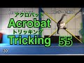 Tricking Acrobat Flip　collection　(  アクロバット トリッキング 技集 ) SNACK スナック ブレイクダンス