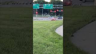 Geese Use Crosswalk at Red Light