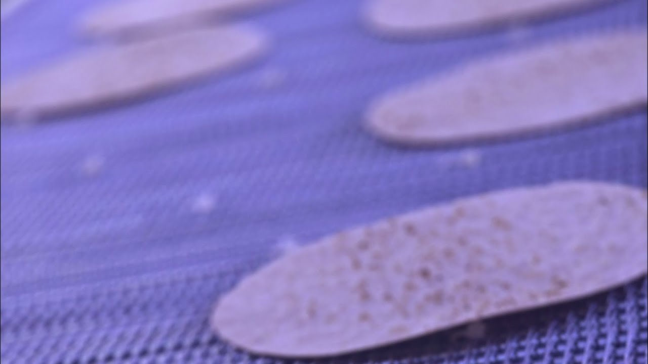 TANNOUR BREAD PRODUCTION LINEFlatbread production line