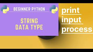 Python programming essay string data types