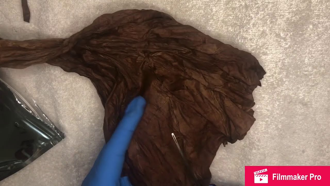 Clean leaf fronto: How to roll a fronto/grabba leaf