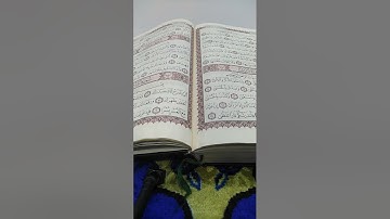 سورة الضحى. القارئ عصام العبيدي.