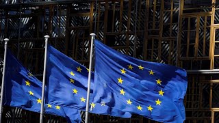Green Bond Sale Is Good Package for Europe, Says Citi's Mann
