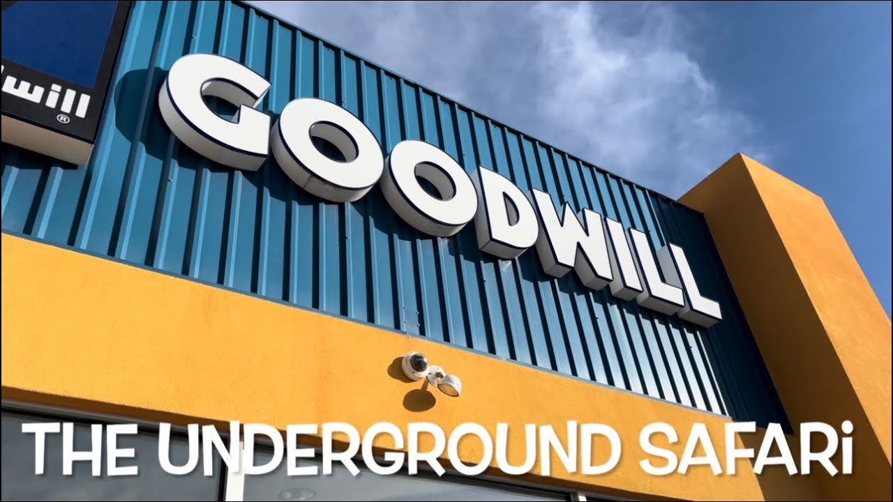 Peddling Used Clothes and Shoes #ebayseller #thrifting #goodwill #haul #flipping #usedclothing 