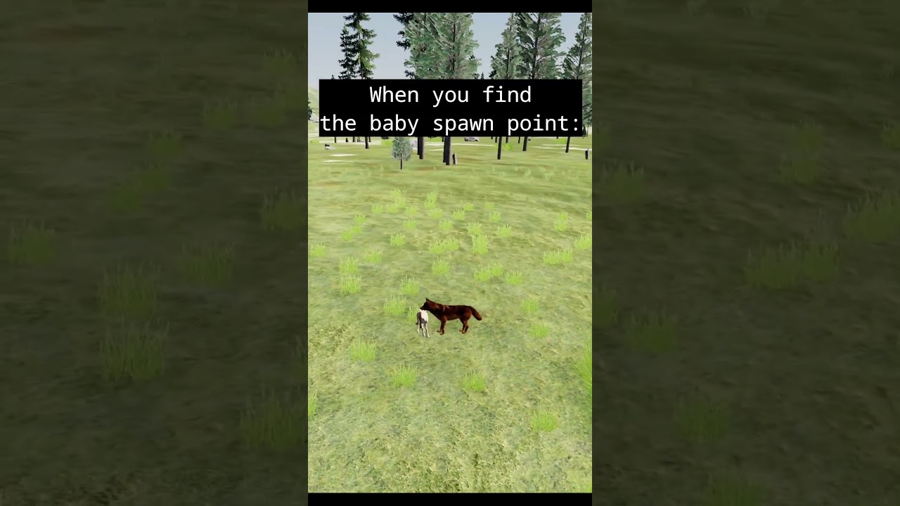 Who thought this was a good idea? 