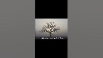 أُفِّ لكم ولما تعبدون من دون الله 😔 | سورة الأنبياء