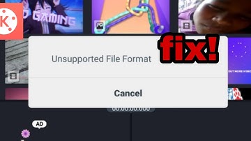 Unsupported File Format on Kinemaster fix!