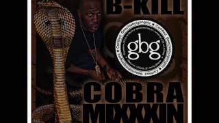 BKILL HUDAE --- COBRA MIXXXIN - The Art of Striking  (2010)