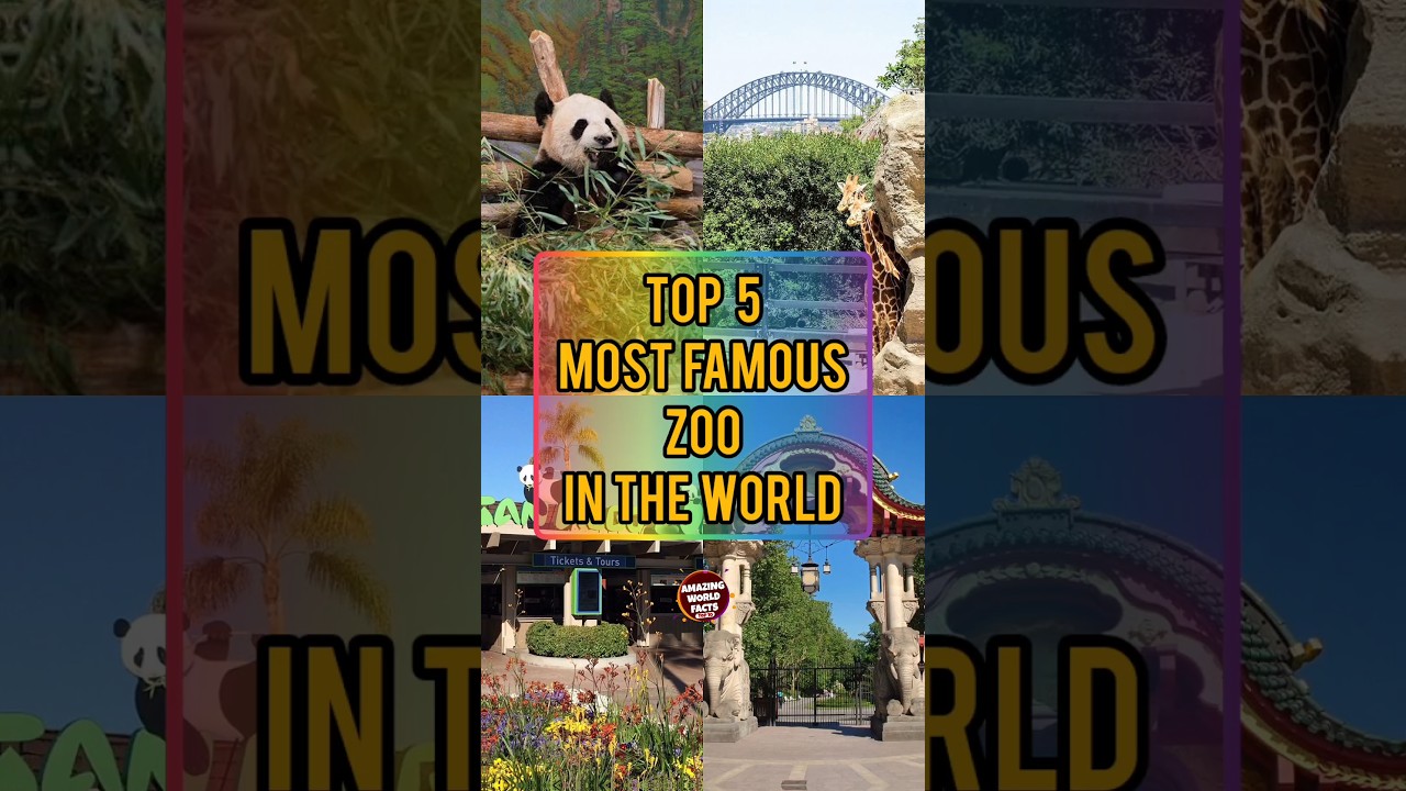 Top 5 Most Famous Zoo In The World | Amazing World Facts