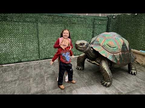 THE WITCH KIDNAPPED A TURTLE AND LOCKED IT IN A BOX! BUĞLEM BULUT CALLED THE POLICE!!