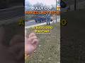 $300,000 LAWSUIT! Lady Refuses To ID To Cop Violating Her Rights. Cop Gets Sued. 1st Amendment
