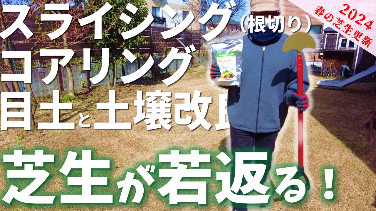 【芝生が若返る!】「スライシング（根切り）」「コアリング」＆「土壌改良」”解説付”春の芝生更新作業