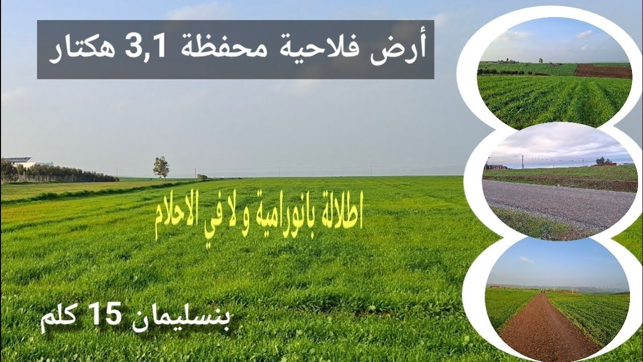 أرض فلاحية محفظة 3،1 هكتار بضواحي مدينة بنسليمان 15 كلم فقط .