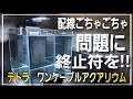 配線ごちゃごちゃ問題に終止符‼テトラの新商品が凄すぎる‼ aquarium アクアリウム 熱帯植物 金魚 熱帯魚 水草 流木 メダカ