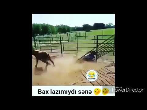 Instagram - ən gülməli videolar