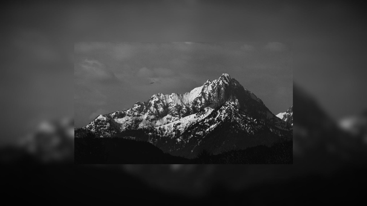 BronterS - Beauty (Offcial Audio)