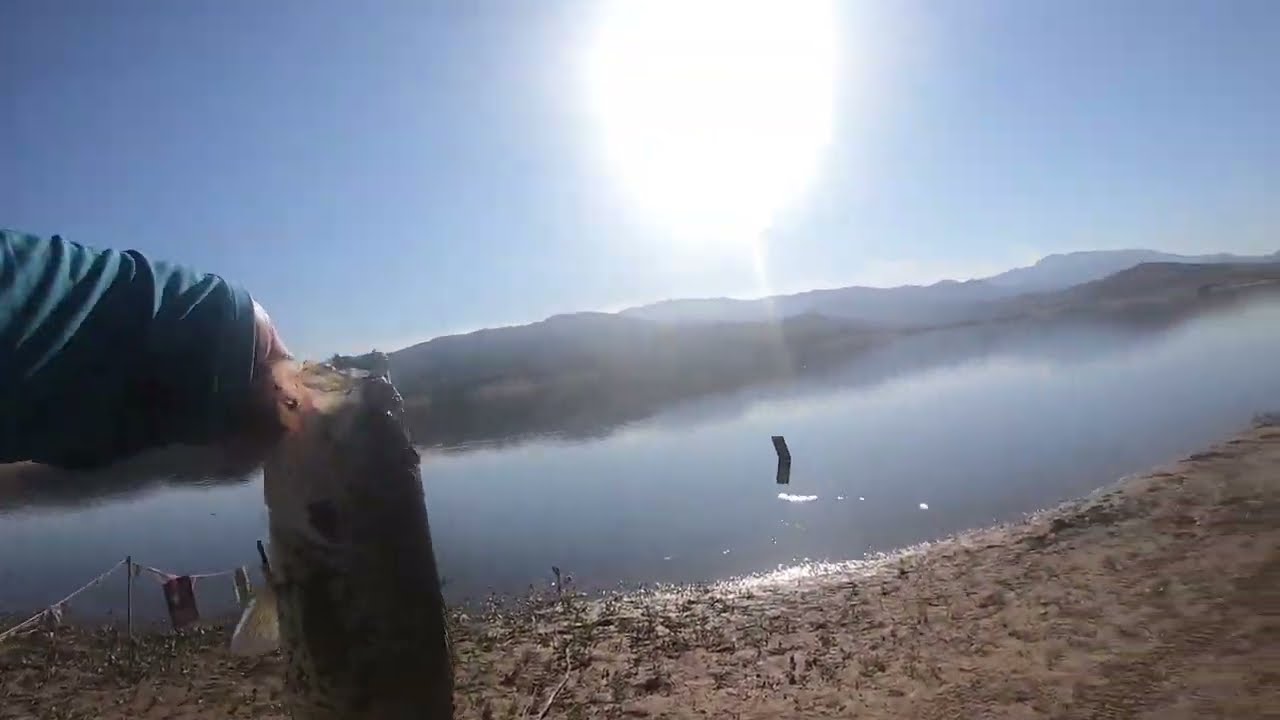 Sol Cal Bass Fishing