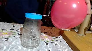 Prototipos Péndulo eléctrico Y Electroscopio