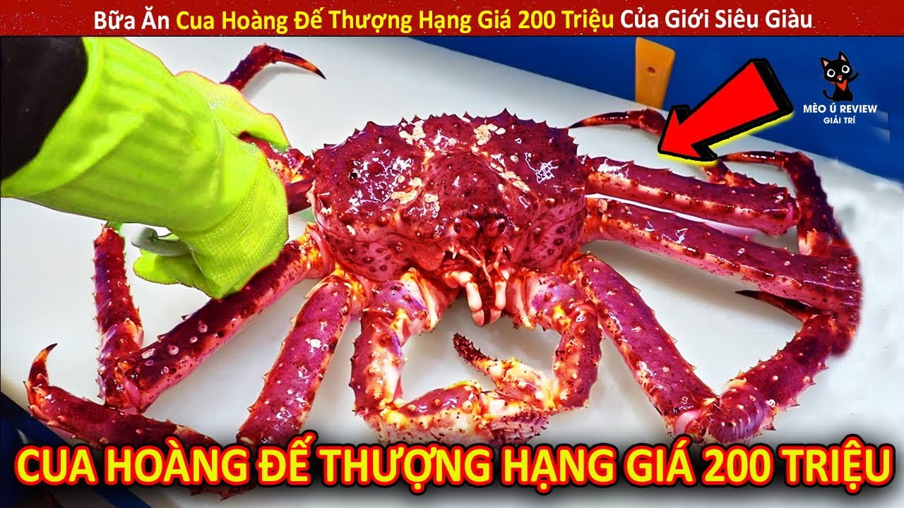 Bữa Ăn Cua Hoàng Đế Thượng Hạng Giá 200 Triệu Của Giới Siêu Giàu || Review Giải Trí Đời Sống