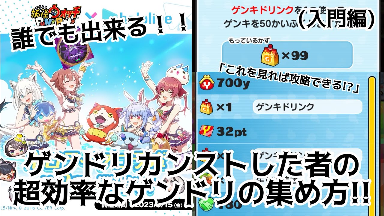 コンドリゲンのリーフレット