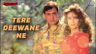Tere Deewane Ne | Full Audio | Kumar Sanu | Alka Yagnik | Govinda | Karishma Kapoor | Khuddarr