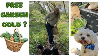 Foraging FREE Garden Gold! (My Tiny Patio Imposter Mystery 🕵️‍♀️)
