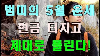 명리학으로 본 호랑이띠의 24년 갑진년 5월 대박 운세!(50년, 62년, 74년, 86년, 98년)#명리학…