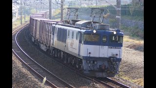 2019/12/10 JR貨物 日中1本だけのEF64運用3075列車