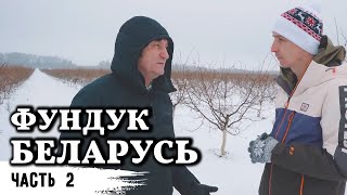 Фундук Беларуси // Спрос выше предложения // Часть 2