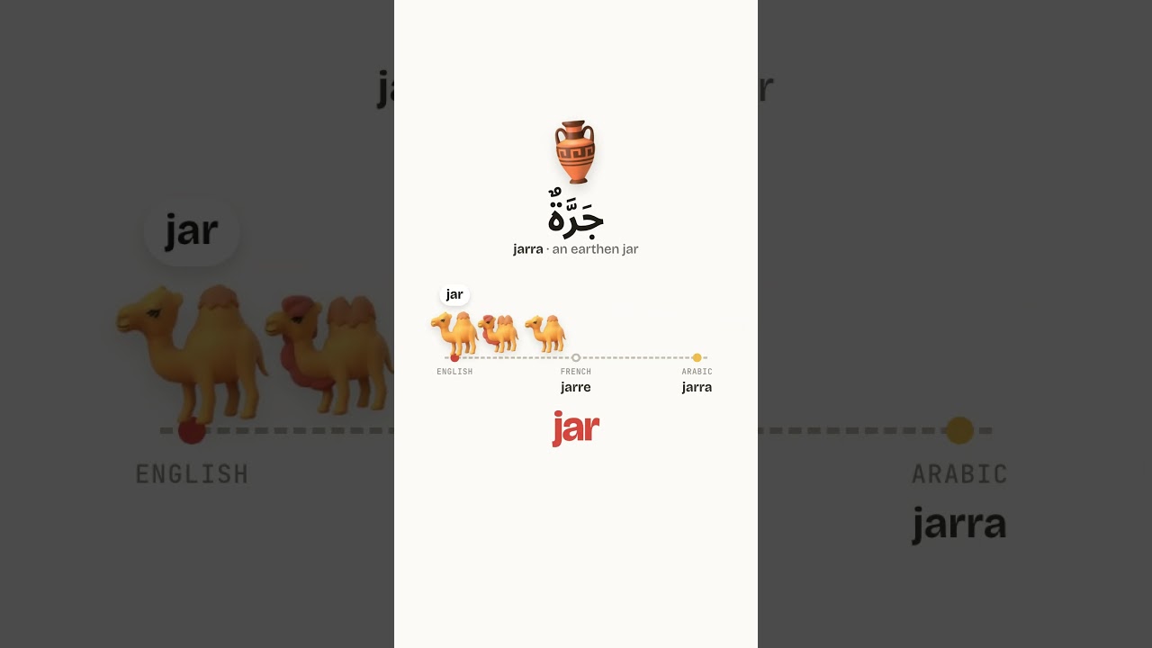 Arabic origin words in English #learnarabic #arabic #fusha