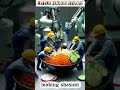 making shasimi