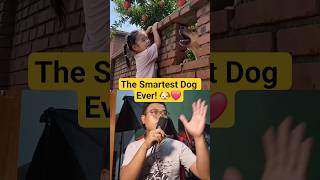 I Couldn't Reach the Apple... Until This Happened! 😱🍎 - AnneLStory #shortvideo #funnyshorts